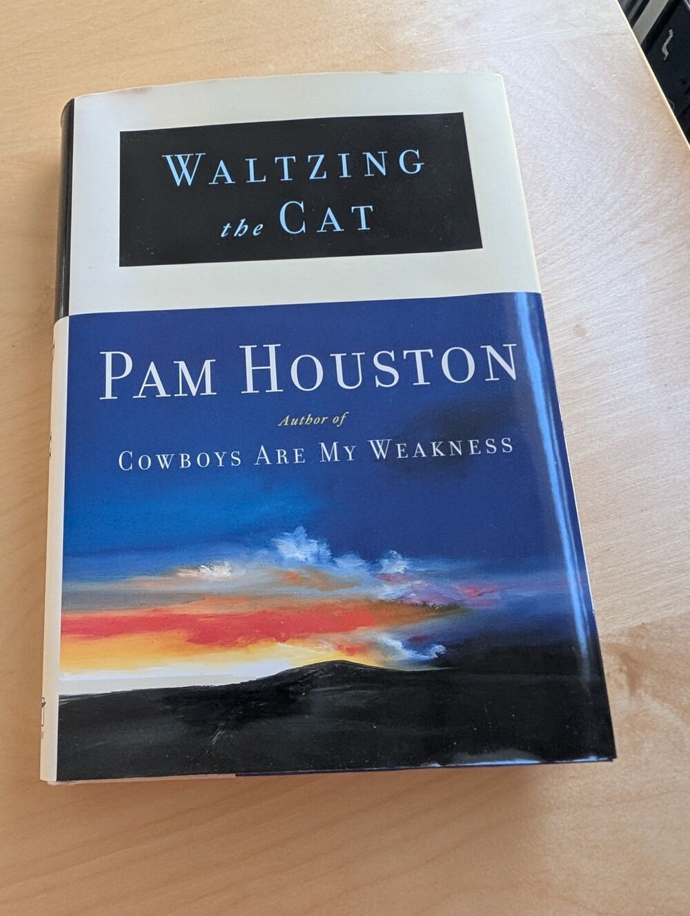 🧨Waltzing the Cat by Pam Houston